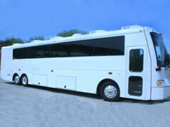 Sarnia Party Bus Limos